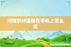 河南农村医保在手机上怎么交