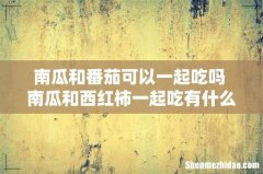 南瓜和番茄可以一起吃吗 南瓜和西红柿一起吃有什么好处