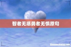 智者无惑勇者无惧原句