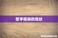 歌手程琳的现状