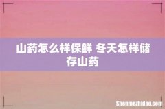 山药怎么样保鲜 冬天怎样储存山药