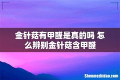 金针菇有甲醛是真的吗 怎么辨别金针菇含甲醛