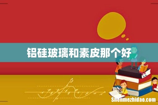 铝硅玻璃和素皮那个好