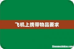 飞机上携带物品要求