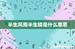 半生风雨半生晴是什么意思