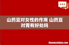 山药豆对女性的作用 山药豆对胃有好处吗