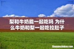 梨和牛奶能一起吃吗 为什么牛奶和梨一起吃拉肚子