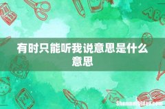 有时只能听我说意思是什么意思