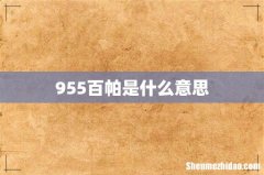 955百帕是什么意思
