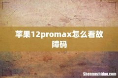 苹果12promax怎么看故障码