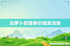 白萝卜的营养价值及功效