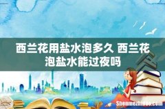 西兰花用盐水泡多久 西兰花泡盐水能过夜吗