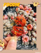 冰糖葫芦糖稀怎么做 冰糖葫芦糖稀制作方法