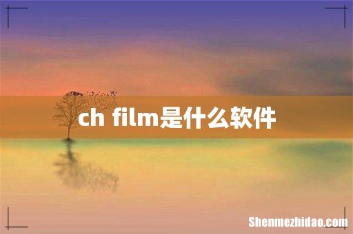 ch film是什么软件