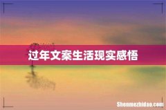 过年文案生活现实感悟
