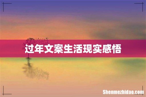 过年文案生活现实感悟