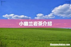 小幽兰岩茶介绍