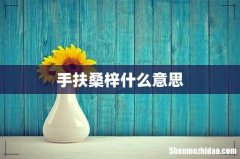 手扶桑梓什么意思