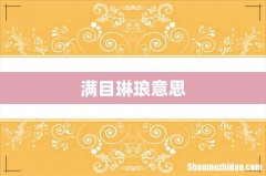 满目琳琅意思