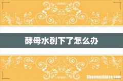 酵母水剩下了怎么办