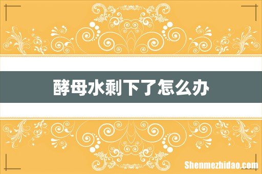 酵母水剩下了怎么办
