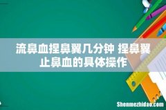 流鼻血捏鼻翼几分钟 捏鼻翼止鼻血的具体操作
