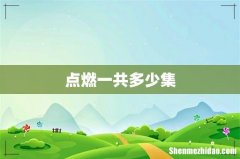 点燃一共多少集