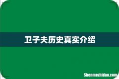 卫子夫历史真实介绍