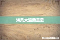 海风太温柔意思