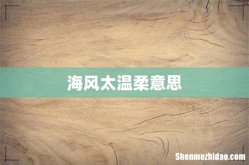 海风太温柔意思