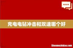 充电电钻冲击和双速哪个好