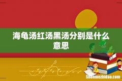 海龟汤红汤黑汤分别是什么意思