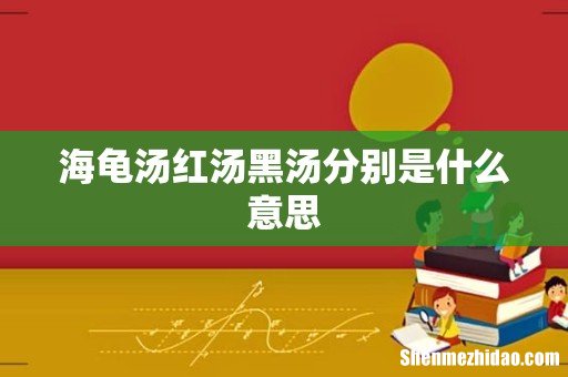 海龟汤红汤黑汤分别是什么意思