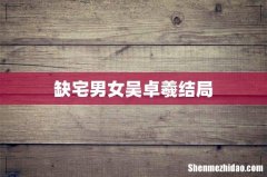 缺宅男女吴卓羲结局