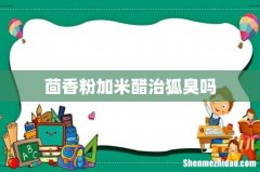 茴香粉加米醋治狐臭吗