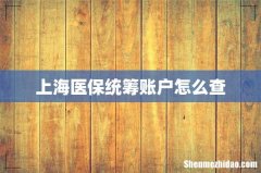 上海医保统筹账户怎么查