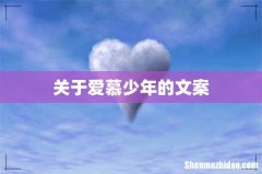 关于爱慕少年的文案