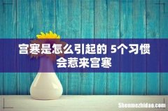 宫寒是怎么引起的 5个习惯会惹来宫寒