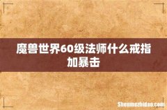魔兽世界60级法师什么戒指加暴击