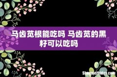 马齿苋根能吃吗 马齿苋的黑籽可以吃吗