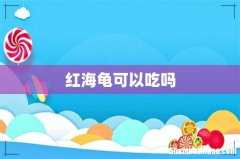 红海龟可以吃吗