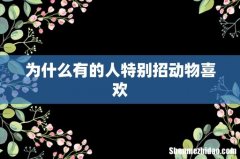 为什么有的人特别招动物喜欢