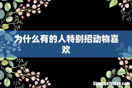 为什么有的人特别招动物喜欢