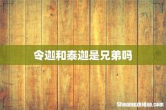 令迦和泰迦是兄弟吗