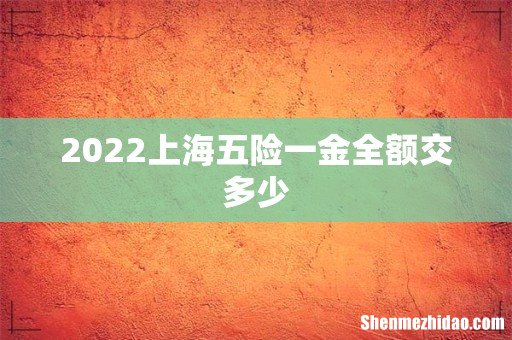 2022上海五险一金全额交多少