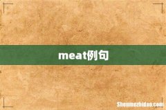 meat例句