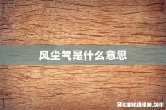 风尘气是什么意思