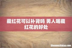 藏红花可以补肾吗 男人喝藏红花的好处