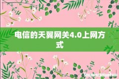 电信的天翼网关4.0上网方式
