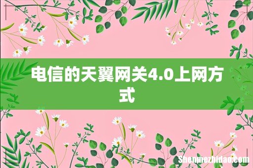 电信的天翼网关4.0上网方式